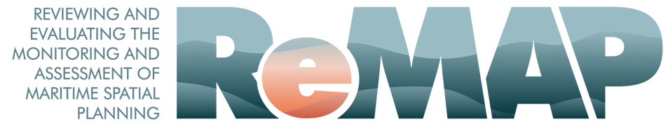 REMAP project logo